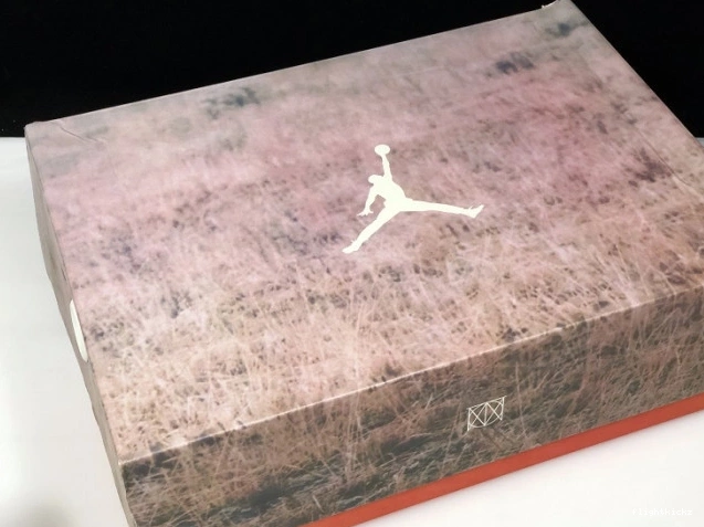 JTH Beige Air Bio Jordan AV6683-200 3 0826